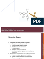 Anizarea Procesuala