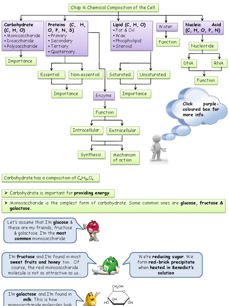 The Building Blocks of Life An Overview of the Chemical Composition