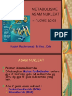 [Files.indowebster.com]-Metabolisme Asam Nukleat