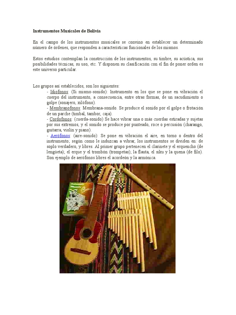 Instrumentos Musicales de Bolivia Instrumentos musicales Tecnología musical