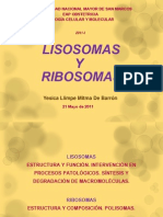 t8-Lisosomas y Ribosomas f