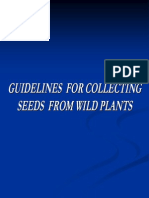 Guidelines For Collecting Seeds From Wild Plants