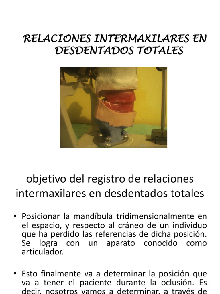 Relaciones Intermaxilares | PDF | Cabeza y cuello humanos | Naturaleza