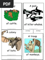 Collective Nouns Grade 6