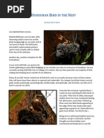 Download A Honduran Bird in the Nest by npsmith4899 SN223324992 doc pdf
