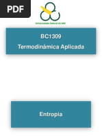 Aula 6 Entropia