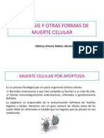 7.6 APOPTOSIS ESTUDIANTES.pdf