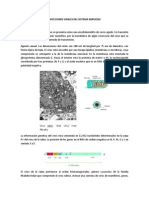 INFECCIONES VIRALES DEL SISTEMA NERVIOSO.pdf