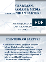 Pewarnaan, Penanaman & Media Perbenihan Bakteri