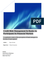 Credit Risk Management in Banks