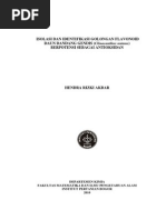 Download ISOLASI DAN IDENTIFIKASI GOLONGAN FLAVONOIDpdf by Aini Balafif SN223342505 doc pdf