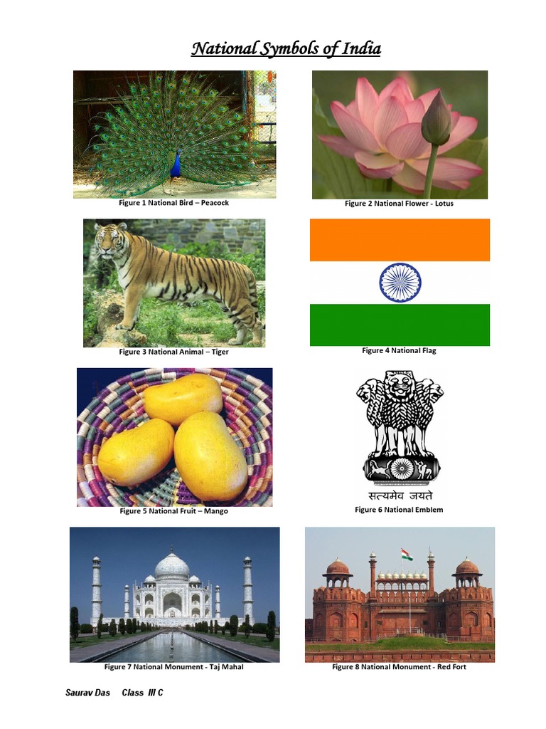 Indian National Animal Bird Flower National Symbols Of India By