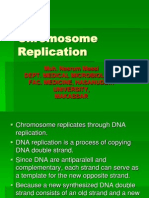 Chromosome Replication