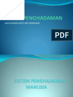 Sistem Penghadaman Alexander