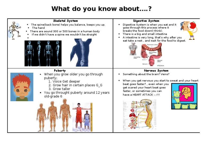 Basline Data Body Systems | PDF