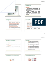 Sistema Muscular