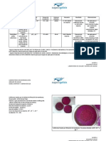 Informe Quinta Semana Coliformes Totales FM y Clostridium Sulfito Reductores PDF