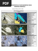 Download Sifat Optik Mineral - mineral Batuan Metamorf by Dendy Sri Wibowo SN223389878 doc pdf