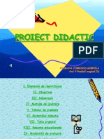 Proiect Didactic