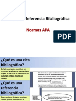 Normas Apa