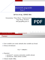 Curs7 - Programing Romanian