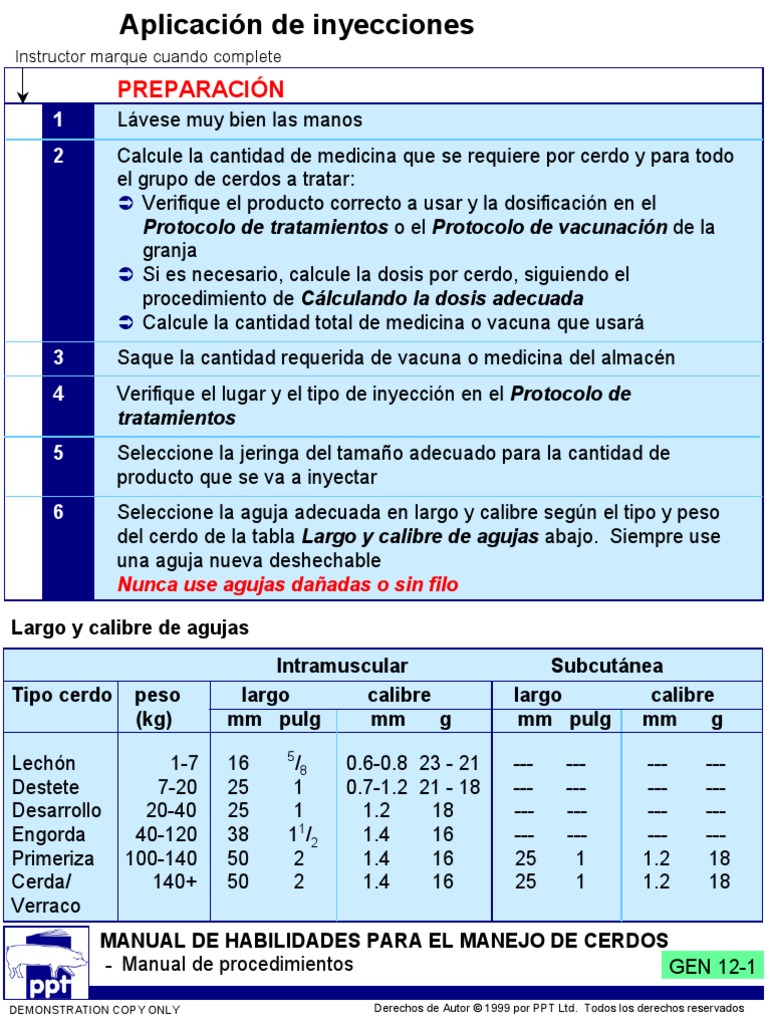 Aplicacion de Inyecciones A Cerdos | PDF