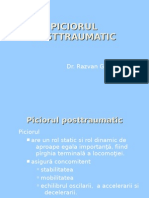 32310789-piciorul-posttraumatic.pdf