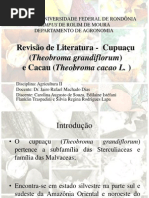 Revisão Cacau e Cupuaçu