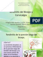 Tendinitis Del Biceps y Cervicalgia