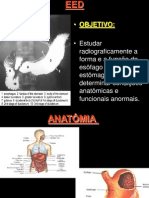 EED - Estudo do Esôfago, Estômago e Duodeno