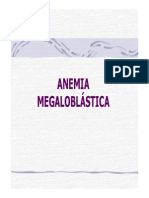 Anemia Megaloblastica2