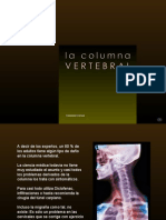 130 Columna Vertebral. (CR)