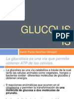 GLUCOLISIS