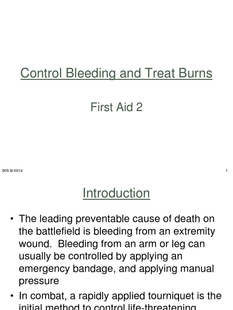 FA 2 Revised PP Bleeding and Burns | PDF | Wound | Shock (Circulatory)