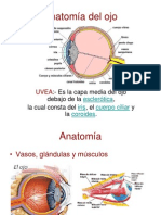 Exploración de Ojo y Oído