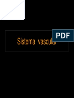 011 - Sistema Vascular