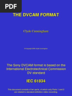 DV Cam Format