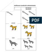 Fisa Pentru Identificarea Numarului Substantivelor