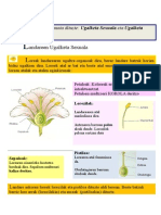 Landare Erreinua - Landare Ugalketa