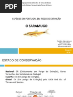 saramugo