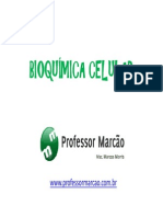 Bioqumica Celular - Composio Quimica Celular - 1 Ano