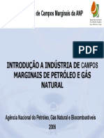 Reativação de jazidas marginais de petróleo e gás no Brasil