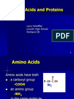 Amino Acids and Proteins: Larry Scheffler Lincoln High School Portland OR