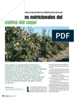 Cultivos Caqui VR375