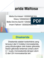 Disakarida Maltosa