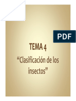 Clasificacion de Insectos