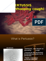 Pertussis