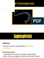 Leptospirosis 2009