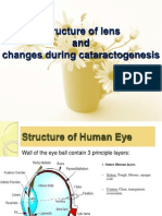 Structure of Lens and Changes During Cataractogenesis
