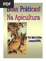 BoasPraticas